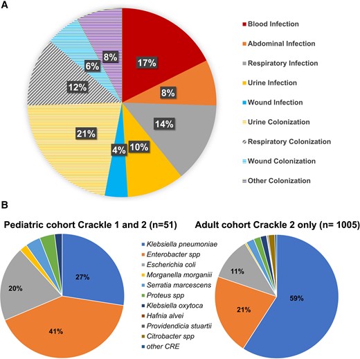 A, Sites from which carbapenem-resistant Enterobacterales (CRE) isolates were recovered in pediatric patients. Isolates meeting criteria for infection are shown in solid colors, and those isolates that did not meet criteria for infection are shown in shaded colors. B, Species distribution in pediatric CRACKLE-1 and CRACKLE-2 (n = 51) and adult CRACKLE-2 cohorts (n = 1005).