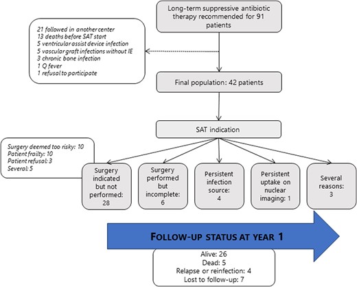 Flowchart with follow-up status at year 1. Abbreviation: SAT, suppressive antimicrobial therapy.