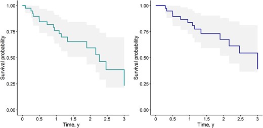 Kaplan-Meier curves. Confidence intervals are shown in shaded areas. Time is displayed in years. Right panel: Survival without reinfection or relapse until year 3 (composite end point: death, relapse, or reinfection). Left panel: Overall survival until year 3 (end point: death).
