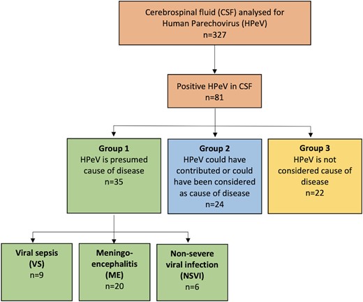 Flowchart and study design. Eighty-one CSF samples with detectable HPeV. Each CSF sample belonged to 1 patient. After review of medical charts, patients were divided into groups 1 (n = 35), 2 (n = 24), and 3 (n = 22). The patients with HPeV as the presumed cause of disease (group 1, n = 35) were further divided by clinical presentation, having VS (n = 9), ME (n = 20), or NSVI (n = 6). CSF, cerebrospinal fluid; HPeV, human parechovirus; ME, meningoencephalitis; NSVI, nonsevere viral infection; VS, viral sepsis.