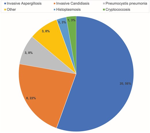 Thirty-three patients developed 36 distinct invasive fungal diseases, delineated by diagnosis.