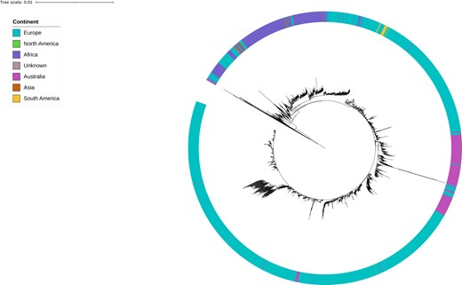 Maximum likelihood phylogenetic tree for Australian and international serogroup W clonal complex 11 isolates. Australian isolates submitted to the Microbiological Diagnostic Unit Public Health Laboratory were collected between 1 January 2017 and 23 May 2019 and represent instances of invasive disease. International isolates were identified through the PubMLST Neisseria database and represent instances of carriage and invasive disease. Isolates' continent of collection is displayed by the colored ring surrounding the tree; see legend for color scheme.
