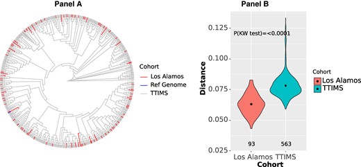 Only subtype B infections are included. (A) Phylogenetic tree comparison of HIV of protease and reverse transcriptase gene sequences from the TTIMS programs and selected LANL reference sequences from 2015–2020. (B) Mean genetic distances comparing TTIMS sequences and LANL references sequences. The violin plot and results of the Kruskal-Wallis (KW) 1-way analysis of variance test show the diversity of the TTIMS HIV sequences are significantly greater than the diversity of available reference sequences from LANL. Reference Genome: GenBank ID K03455.1 Human immunodeficiency virus type 1 (HXB2) complete genome HIV1/HTLV-III/LAV reference genome.