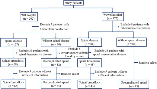 Flowchart of patient enrollment in the study.