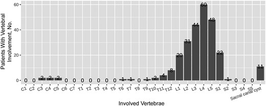 Distribution of vertebral involvement by vertebrae according to radiological imaging in spinal brucellosis.