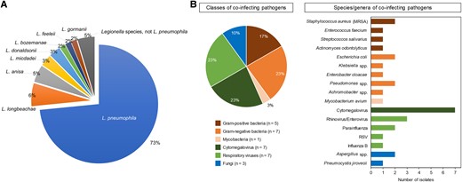 A, Types of Legionella spp. B, Types of coinfections (20 patients with 30 copathogens isolated). MRSA, methicillin-resistant Staphylococcus aureus; RSV, respiratory syncytial virus.