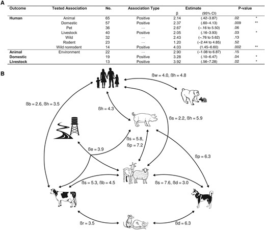 Interconnections between compartments. A, Meta-regression analyses of human seroprevalence explained by animal seroprevalence and animal seroprevalence explained by environmental positivity rate, with seroprevalence defined as every outcome and association tested for in humans and animals. *P < .05; **P < .01. Abbreviation: CI, confidence interval. B, Significant links of Leptospira presence or exposure identified by the overview of One Health studies, with presentation of β coefficients of variable with significant effects generated by meta-regressions. Abbreviations: b, bovine seroprevalence; d, dog seroprevalence; h, human seroprevalence; l, livestock seroprevalence; p, pig seroprevalence; r, rodent seroprevalence; s, small ruminant seroprevalence; w, wild nonrodent seroprevalence.