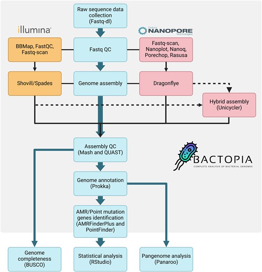 Alt text: Workflow that represents the order of the bioinformatic analysis performed for long-read sequences, short-read sequences, and hybrid assembly.