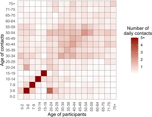 Alt text: Graphs and data on characterizing the contact matrix by age in study location in 2021.