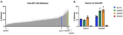 Strain-dependent cell adhesion by carbapenem-resistant Klebsiella pneumoniae