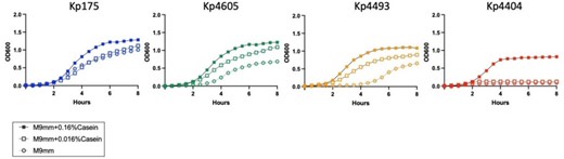 Nutrient limited growth of carbapenem-resistant Klebsiella pneumoniae