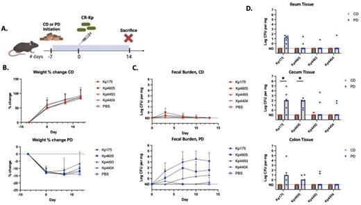 Diet-dependent intestinal colonization by carbapenem-resistant Klebsiella pneumoniae