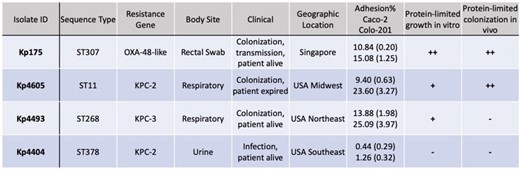 Genotypic, clinical and phenotypic characteristics of carbapenem-resistant Klebsiella pneumoniae