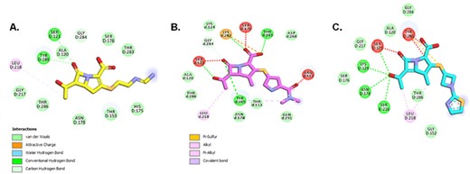 The 2D representation of Michaelis-Menten complexes of DacB1 and IPM (A.), MEM (B.), and TPB (C.) with the formation of initial interactions. The carbonyl group of all the carbapenems is positioned into the oxyanion hole fromed by the catalytic Ser121:N and by Tyr285 amide. the hydroxyethyl group on the β-lactam ring present on all carbapenes produce a hydrophobic interaction with Leu218 and helps the initial positioning od the carbonyl into the oxyanion hole of DacB1. The C1 methyl group in both MEM and TBP, with additional hydrophobic interactions (B. and C.), contribute to the slower acyl-enzyme formation fro those compounds.