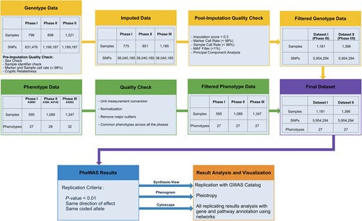 Study flowchart for genotypic and phenotypic data and analyses. The graphic illustrates steps used for quality control for genotypic and phenotype data, imputation of genotypic data, criteria for passing filtering threshold for associations across 2 datasets, and software tools used for result interpretation. Abbreviations: GWAS, Genome-Wide Association Studies; MAF, minor allele frequency; PheWAS, Phenome-Wide Association Studies; SNP, single-nucleotide polymorphisms.