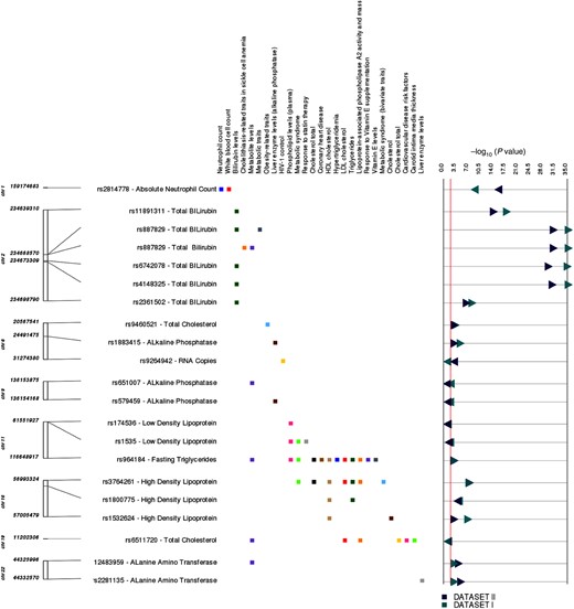 The graphic illustrates study associations replicating previously reported genotype-phenotype associations. The left-most track indicates chromosome and coordinate position. The single-nucleotide polymorphism (SNP) for each association is listed, with the associated clinical laboratory measurement. Each phenotype where we replicated a previous reported result is listed in the next track, with boxes to the right indicating the phenotype for the previously reported SNP-phenotype association: green, total bilirubin levels; brown, high-density lipoprotein cholesterol (HDL-C); blue, absolute neutrophil count; black, total cholesterol levels. Dark green triangles and dark blue triangles represent P values from Dataset I and Dataset II, respectively. Right-pointing triangles indicate positive direction of association, and left-pointing triangles indicate negative direction of association. Abbreviations: HDL, low-density lipoprotein; HIV, human immunodeficiency virus.