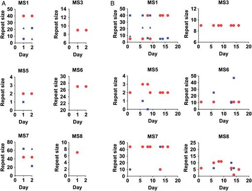 Longitudinal analysis of microsatellites (MSs) from oropharyngeal washes (OPWs) from individual patients. The MS genotypes from longitudinal OPW samples collected from individuals are shown. Within A and B, each subpanel represents data about allele sizes detected from 1 MS. The x-axis shows the day of collection during the illness. The y-axis shows the repeat size of the detected alleles. On a given day, each MS can have more than 1 allele detected, representing polyclonal samples. The MS repeat size of the majority allele (largest peak detected) is shown by the red circle. The MS repeat size of minor alleles are shown with blue squares or triangles. A, A relatively simple pattern over a 2-day period in which genotypes are regularly repeated between samples. B, Genotypes from 7 samples collected over a 16-day period. Both infections are polyclonal with at least 3 clones in the infections. However, B shows the dynamic nature of allele genotyping based on timing of sampling.
