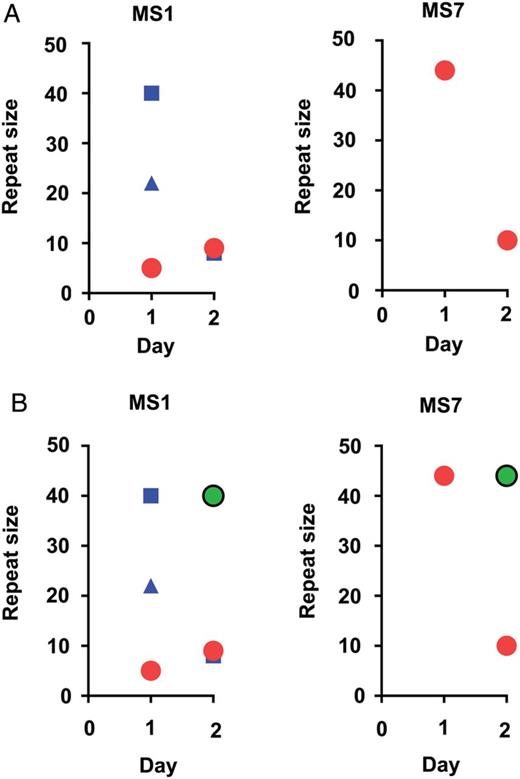 Impact of changing peak calling threshold. A, The microsatellite (MS) genotyping profile for a MS longitudinally in 1 patient using 33% height of the dominant allele as the cutoff for allele calling (the color scheme is the same as in Figure 2). B, The same information with additional minor peaks being called (green circles) using a 10% height cutoff.
