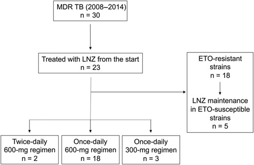 Flow chart of selected cases.