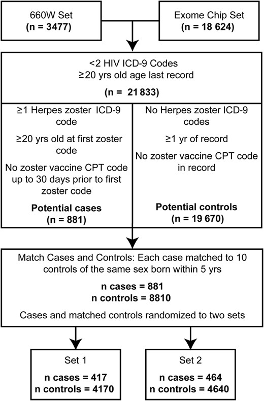 Criteria for defining and matching herpes zoster cases and controls. The flowchart describes the pipeline from initial genotyped sets through matching and splitting into analysis sets. Exclusionary criteria, and case and control definition along with the relative numbers that passed through each filtering step, are presented. A total of 881 cases were matched and randomly split into 2 sets of 417 and 464 cases. Abbreviations: CPT, Current Procedural Terminology; HIV, human immunodeficiency virus.