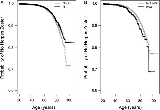 Kaplan-Meier curves showing unadjusted probability of not having a herpes zoster International Classification of Diseases, Ninth Revision (ICD-9) code over time. Data analyzed were age at first herpes zoster ICD-9 for the cases and age at last medical record for the controls. Incidence of a herpes zoster ICD-9 code was considered an event. We compared (A) haplogroup H subjects to all subjects not in haplogroup H and (B) IWX haplogroup clade subjects vs all others. Censored values from the end of the medical record are denoted by vertical lines.