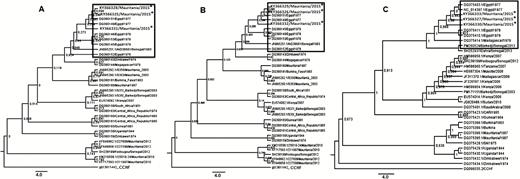 Phylogenetic trees for the small (A), medium (B), and long (C) segments of 3 Rift Valley fever virus isolates from Mauritania, 2015 (*) using maximum likelihood with Mega 06, showing relationships among strains isolated from different localities and countries. The strains from 2015 clustered with strains from Egypt and the strain from Senegal in 1983 and 2013.