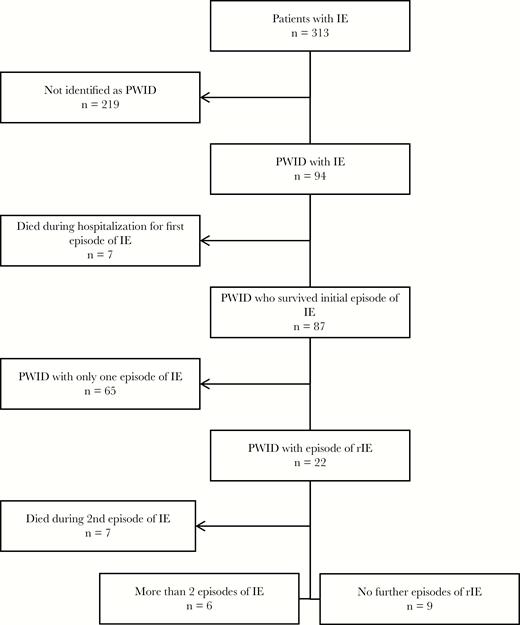 Selection of persons who inject drugs with repeat infective endocarditis. Abbreviations: IE, infective endocarditis; PWID, persons who inject drugs; rIE, repeat infective endocarditis.