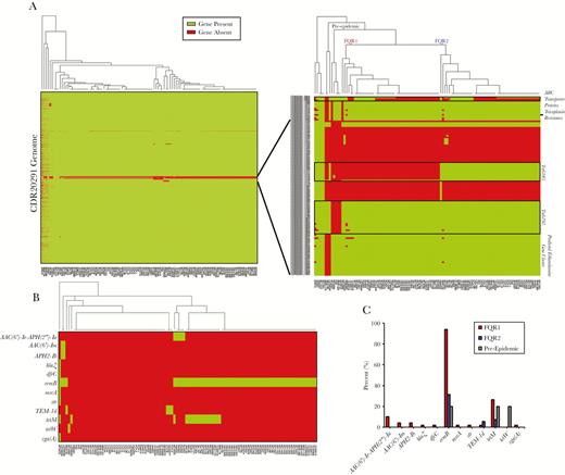 Gene presence or absence analysis amongst 108 clinical strains. (A) Genes that were covered by sequencing in the R20291 genome for each strain were plotted as green, whereas gene absence is plotted red. Gene absence may have been due to low coverage in some of the strains. A closer view of regions of high variability on the right allows for complete discrimination between FQR1 and FQR2 strains. (B) Antimicrobial resistance genes were found in the genomes of the samples, and (C) overall gene presence is shown for FQR1, FQR2, and the pre-epidemic strains.