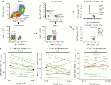 Hepatitis C virus (HCV)-specific CD8+ T cells exhibit a partial reduced exhaustion phenotype following treatment in comparison to baseline values. (A) Flow cytometry gating strategy was used to identify HCV-specific CD8+ T cells. Of the 40 participants in our cohort, 17 individuals with HLA-A24:02-1031 (AYSQQTRGL; HCV NS3) were utilized for the analysis. (B) For PD-1, the line graph of marker percentages compares individual differences between pretreatment (PreT) and 12-weeks following sustained virologic response (SVR12). (C) For TIM-3, a mouse Ig1 isotype control was used to determine background. The line graph of marker percentages compares individual differences between PreT and SVR12 values. (D) For TIGIT, the line graph of marker percentages compares individual differences between PreT and SVR12 values. For B–D, green lines indicate negative differences (positive immune outcome) from PreT–SVR12, red lines indicate positive differences (negative immune outcome), and grey lines indicate unchanged differences (less than ± 1 standard deviation change). The black diamonds at both PreT and SVR12 represent the mean value among all participants. Comparisons made between PreT and SVR were assessed via paired t tests. Samples were determined to be statistically different if P < .05.