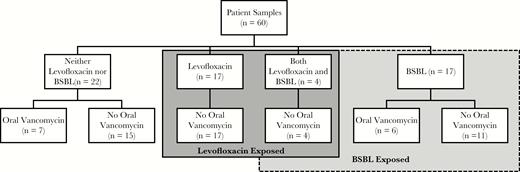 Flow diagram of patient samples and antibiotic exposure in the 7 days before collection. Abbreviation: BSBL, broad-spectrum beta-lactam.