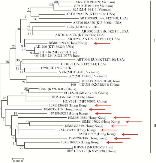 Phylogenetic analysis of the partial NS5B region of the 11 HHpgV-1 strains detected in Hong Kong and other strains available in GenBank. The tree was constructed by the maximum-likelihood method using the Kimura 2-parameter model with gamma distributed with invariant sites (G + I). The bootstrap analysis was performed with 1000 replicates. The analysis included 549 nucleotide positions. GenBank accession numbers and country/city are shown in parentheses. The scale bar indicates the estimated number of substitutions per site. Arrows indicate the strains detected in this study.