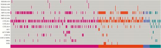 Extended-spectrum β-lactamase and plasmid-mediated ampC genes identified using the Check-MDR CT101 kit (Check-Points, Wageningen, the Netherlands). X-axis shows individual patient isolates sorted by species with Escherichia coli (pink), Klebsiella pneumoniae (orange), Klebsiella oxytoca (blue), and Proteus mirabilis (green). Y-axis shows β-lactamases genes identified.