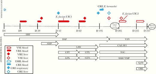 Evolution of bacterial resistance and schematic of antimicrobial administration over the post-transplant infectious period. Timeline is not to scale. AMP, ampicillin; CAZ-AVI, ceftazidime-avibactam; CFX, ceftriaxone; CPT, ceftaroline; DAP, daptomycin; ERT, ertapenem; GEN, gentamicin; LFX, levofloxacin; LZD, linezolid; ORI, oritavancin; Q/D, quinipristin-dalfopristin; SMZ/TMP, sulfamethoxazole-trimethoprim; TGC, tigecycline; VAN, vancomycin.