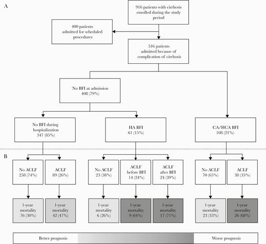 Details on patient disposition (A), acute-on-chronic liver failure (ACLF), and 1-year mortality in patients remaining free of bacterial or fungal infection (BFI) during hospitalization, with hospital-acquired (HA) BFI, or with community-acquired (CA)/health care–associated (HCA) BFI (B).