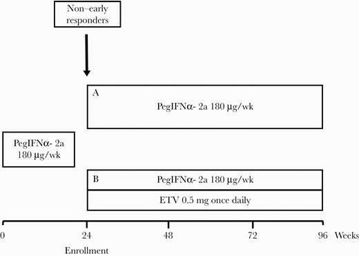 Treatment protocol of the study. Abbreviation: ETV, entecavir.