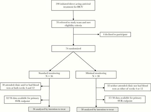 CONSORT diagram. HCV, hepatitis C virus; SVR, sustained virologic resposnse.