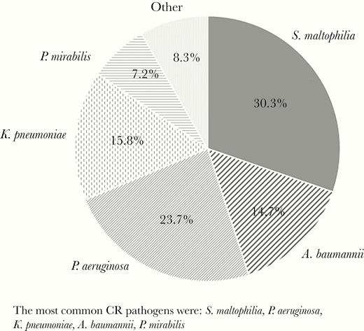 Carbapenem-resistant (CR), gram-negative pathogens causing bacteremia in the United States, based on the 1602 patients identified. The most common CR pathogens were Stenotrophomonas maltophilia, Pseudomonas aeruginosa, Klebsiella pneumoniae, Acinetobacter baumannii, and Proteus mirabilis.