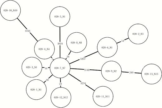 Phylogenetic analysis of representative study isolates. A minimum spanning tree was constructed based on an ad hoc core genome multilocus sequence typed schema of 3635 loci. Each node represents a Klebsiella pneumoniae isolate (n = 13), and the numerical labels over connecting lines indicate the number of different loci between the sequenced isolates.