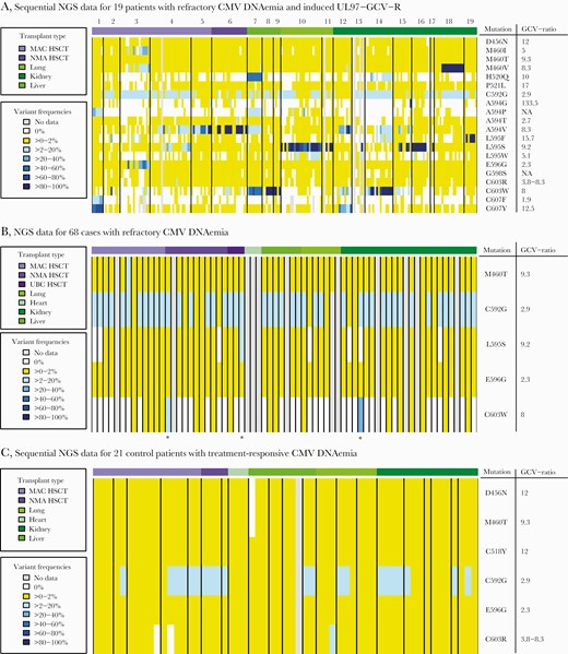 A, Sequential NGS data for 19 patients with CMV DNAemia with known induced UL97-GCV-R. In case of detection of UL97-GCV-R at variant frequencies ≥10%, all available samples ≥910 IU/mL for that patient were collected and analyzed with NGS in a second round of analysis. The colors in the heat map indicate the frequencies of the detected known UL97-GCV-R mutations. The numbers above the heat map refer to patient number and correspond to patient numbers in Table 2. B, NGS data for 68 cases with refractory CMV DNAemia. In cases with refractory CMV replication without known UL97-GCV-R, the last available sample of each episode ≥910 IU/mL was selected for NGS analysis. The colors in the heat map indicate the frequencies of the detected known UL97-GCV-R mutations. *Three patients in whom NGS detected resistance mutations ≥10% but <25%, but where no additional data were available. C, Sequential NGS data for 21 control cases with treatment-responsive CMV DNAemia. A selection of patients with treatment-responsive CMV episodes were identified, and available CMV PCR samples ≥910 IU/mL from these patients were selected as controls for NGS analysis. The colors in the heat map indicate the frequencies of the detected known UL97-GCV-R mutations. The width of each patient column varies depending on how many sequential samples matching the inclusion criteria were available for sequencing with NGS for each individual patient. Abbreviations: GCV-ratio, ganciclovir ratio; IC50 of mutant, IC50 of wild-type; HSCT, hematopoietic stem cell transplantation; MAC, myeloablative conditioning regimen; NGS, next-generation sequencing; NMA, nonmyeloablative conditioning regimen; SOT, solid organ transplantation; UCB, umbilical cord blood.