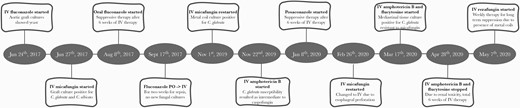 Timeline representing initiation of systemic antifungal therapy and changes occurring over the course of 3 years until the present time. Abbreviations: IV, intravenous; PO, per os (oral).