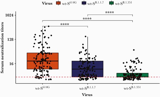 Results of neutralization assays performed with serum of study participants (n=126) and isogenic severe acute respiratory syndrome coronavirus 2 viruses harboring either the D614G spike, the full-length B.1.1.7 spike (Alpha variant), or the full-length B.1.351 spike (Beta variant). Each dot represents the results of a study participant. Each sample was tested against all 3 strains. The red dashed line reflects the limit of detection. The numbers on the y-axis indicate the highest dilution of serum demonstrating neutralization activity. The box plots display the distribution of data between the first quartile, median, and third quartile. A Wilcoxon rank-sum and signed-rank test was performed to compare the groups. ∗∗∗∗P<.0001. Abbreviation: wt-S, wild-type spike.