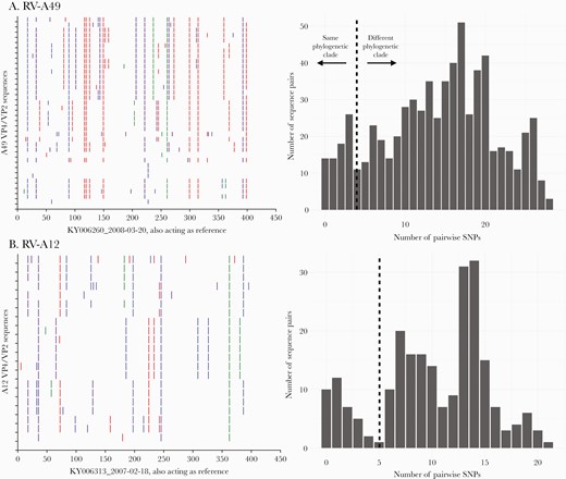 A, Nucleotide variability across the sequenced VP4/VP2 region for rhinovirus types RV-A49 and RV-C2. For each type, the viruses were compared to the earliest sampled sequence. Vertical colored bars show the nucleotide differences: Red is a change to T, orange is a change to A, purple is a change to C, and blue is a change to G. B, Distribution of pairwise nucleotide difference for the VP4/VP2 region of types RV-A49 and C2. Abbreviations: RV, rhinovirus; SNP, single-nucleotide polymorphism.