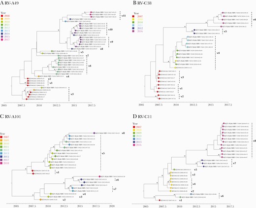Bayesian phylogenetic trees showing the VP4/VP2 region of the rhinovirus (RV) types A49, C2, C38, and C11. Variant names are next to the phylogenetic clusters, eg, v1 representing variant 1 for a specific type. Node support is indicated by (∗) for posterior probabilities >0.9.