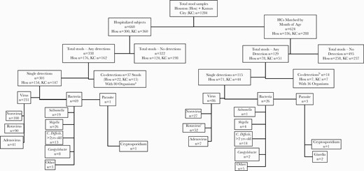 Sample distribution and detected organisms in pediatric inpatients with AGE and outpatient HCs from 2011 to 2016 in Kansas City, Missouri, and Houston, Texas. aCo-detections in hospitalized AGE subjects = 22 norovirus, 16 rotavirus, 10 adenovirus, 16 C. difficile, 2 Salmonella, 6 Shigella, 1 Campylobacter, 5 other bacteria, 2 Giardia.bCo-detections in healthy controls = 14 norovirus, 9 rotavirus, 2 adenovirus, 1 C. difficile, 2 Shigella, 2 Campylobacter, 5 other bacteria, 1 Giardia.cFifty-one of 52 HCs were EIA negative, and 50/52 were EIA negative within 7 days of RV vaccination. Abbreviations: AGE, acute gastroenteritis; EIA, enzyme immunoassay; HCs, healthy controls; RV, rotavirus.