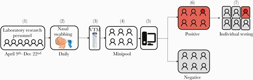 Study schematic. 1. Nasal swabbing was offered to all laboratory research personnel between April 9 and 24, 2020. 2. Nasal swabs (NS) were collected on a daily basis for all eligible participants (ideally at the beginning of their shift). 3. After collection, the NS was placed in viral transport media (VTM). 4. VTM of all participants from the same shift were combined into 1 pool (“minipool”). 5. Each minipool underwent testing in the Fluxergy 1-hour platform. 6. If a minipool test was positive, all samples from individuals who provided NS samples for that pool were tested individually (7).