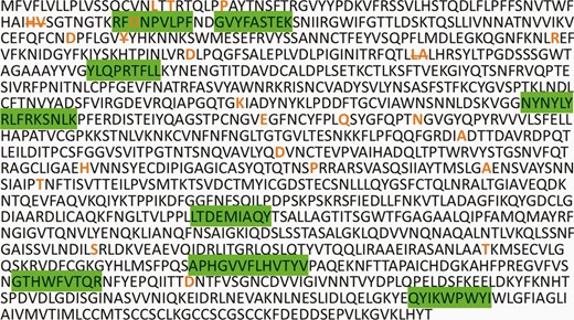 Spike Protein CD8 Epitopes and Mutations. Severe acute respiratory syndrome coronavirus 2 Wuhan variant spike protein amino acid sequence with CD8+ T-cell epitopes highlighted in green, and all mutation and deletion sites (strikethrough) for variants Alpha, Beta, and Gamma indicated in bold orange.