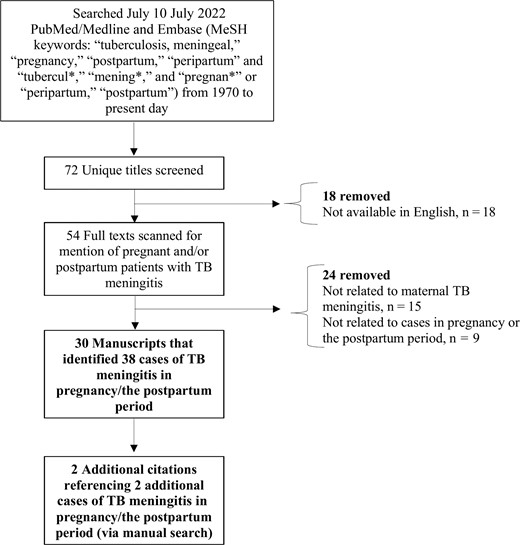 Consolidated Standards of Reporting Trials (CONSORT) flow diagram of literature search. Abbreviations: MeSH, Medical Subject Heading; TB, tuberculous.