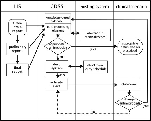 The structure and workflow of the clinical decision support system in this study. Abbreviations: CDSS, clinical decision support system; LIS, laboratory information system.