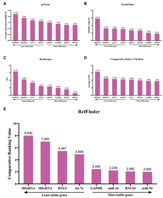 Stability analysis of candidate endogenous reference genes, showing results from geNorm (A), NormFinder (B), BestKeeper (C), comparative ΔCt method (D), and RefFinder (E). The lower the value, the better the stability of the candidate reference genes. Abbreviations: Ct, cycle threshold; SD, standard deviation.