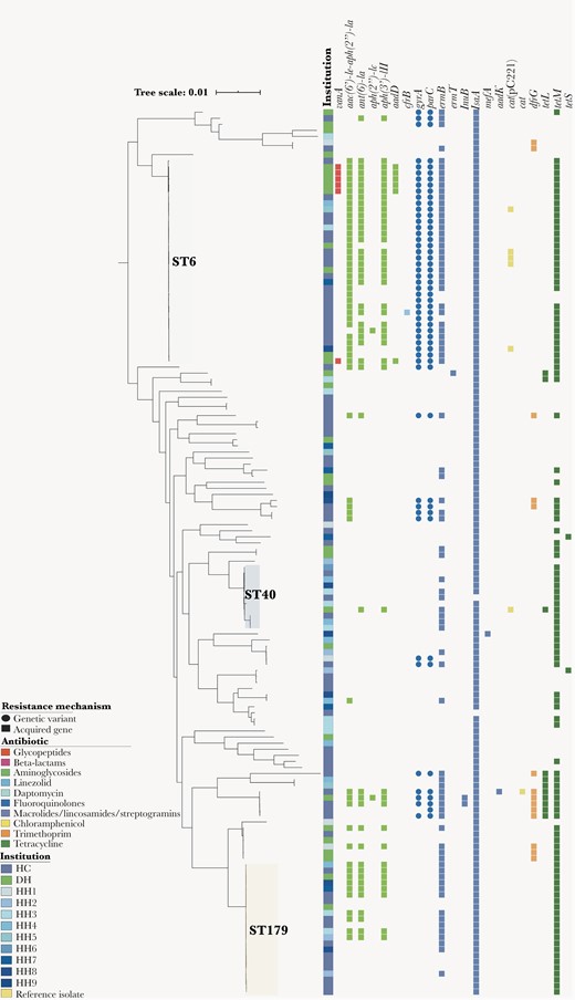 Phylogenetic and resistome analyses of Enterococcus faecalis from the Vancomycin-Resistant Enterococcal BSI Outcomes Study (VENOUS I). Enterococcus faecalis core gene-aligned, midpoint-rooted maximum likelihood phylogenetic tree with associated antibiotic resistance mechanisms (n = 146). The presence of a resistance mechanism is denoted by a colored circle (genetic variant) or square (acquired resistance gene), with colors representing the class or type of antibiotic resistance conferred. Gene abbreviations and descriptions can be found in Supplementary Table 2. Abbreviations: DH, Detroit hospital; HC, Houston cancer center; HH, Houston hospitals 1–9; ST, sequence type.